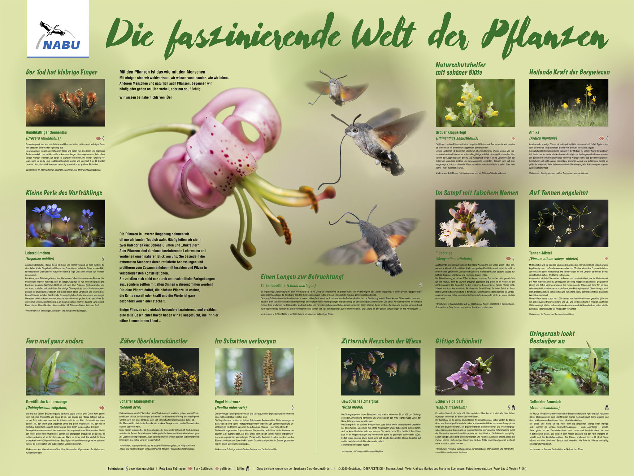 Ausmalbilder Biologie: Entdecke die faszinierende Welt der Natur mit Stift und Farbe!