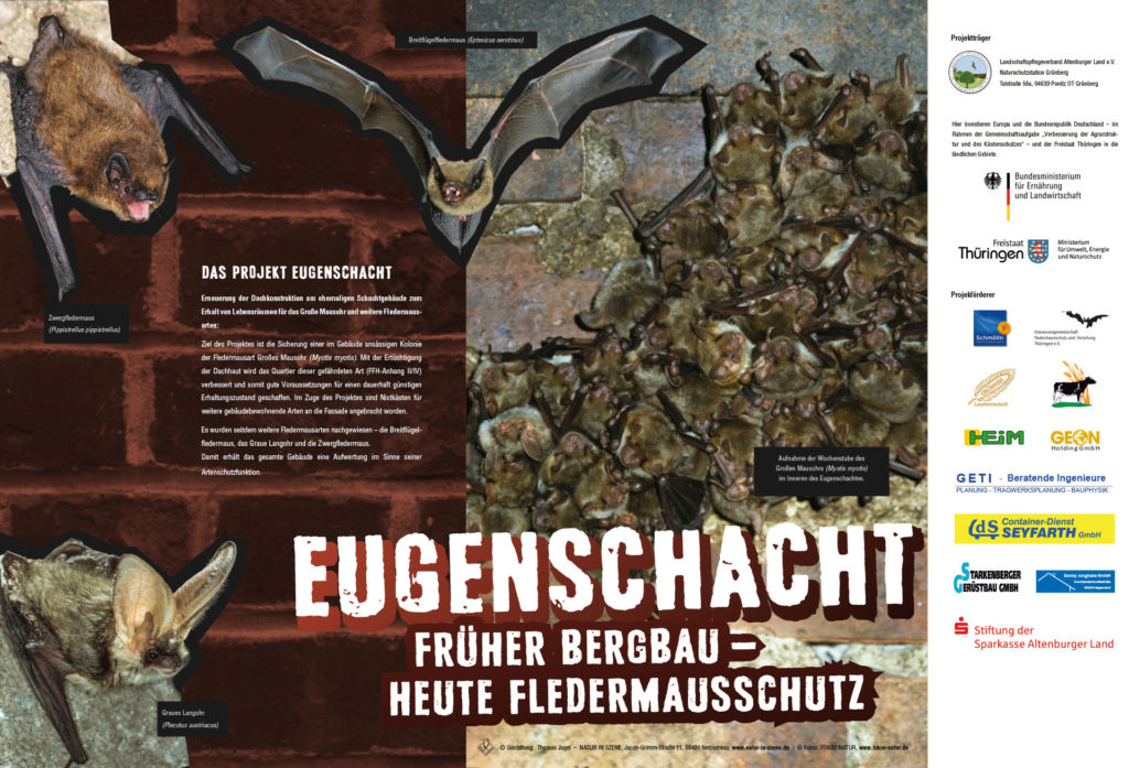 Eugenschacht – Früher Bergbau, heute Fledermausschutz