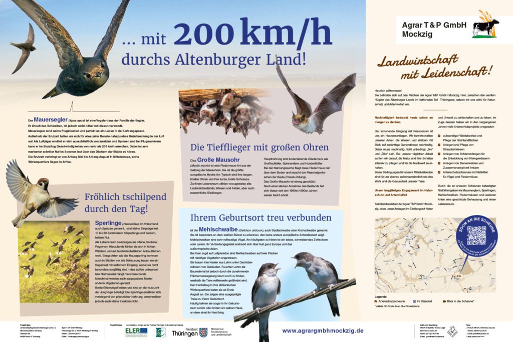 Schautafel der Agrargmbh Mockzig – Dokumentation Artenschutzprojekt an den Scheunen